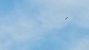 InShot_20220805_063812866.mp4 Полёт