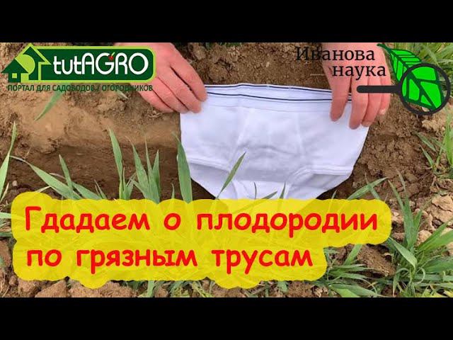 ТЕСТЫ НА ПЛОДОРОДИЕ ПОЧВЫ. Ленивый способ повышения плодородия почвы. А у вас плодородная почва?