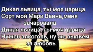 ALEX & RUS Дикая львица Текст