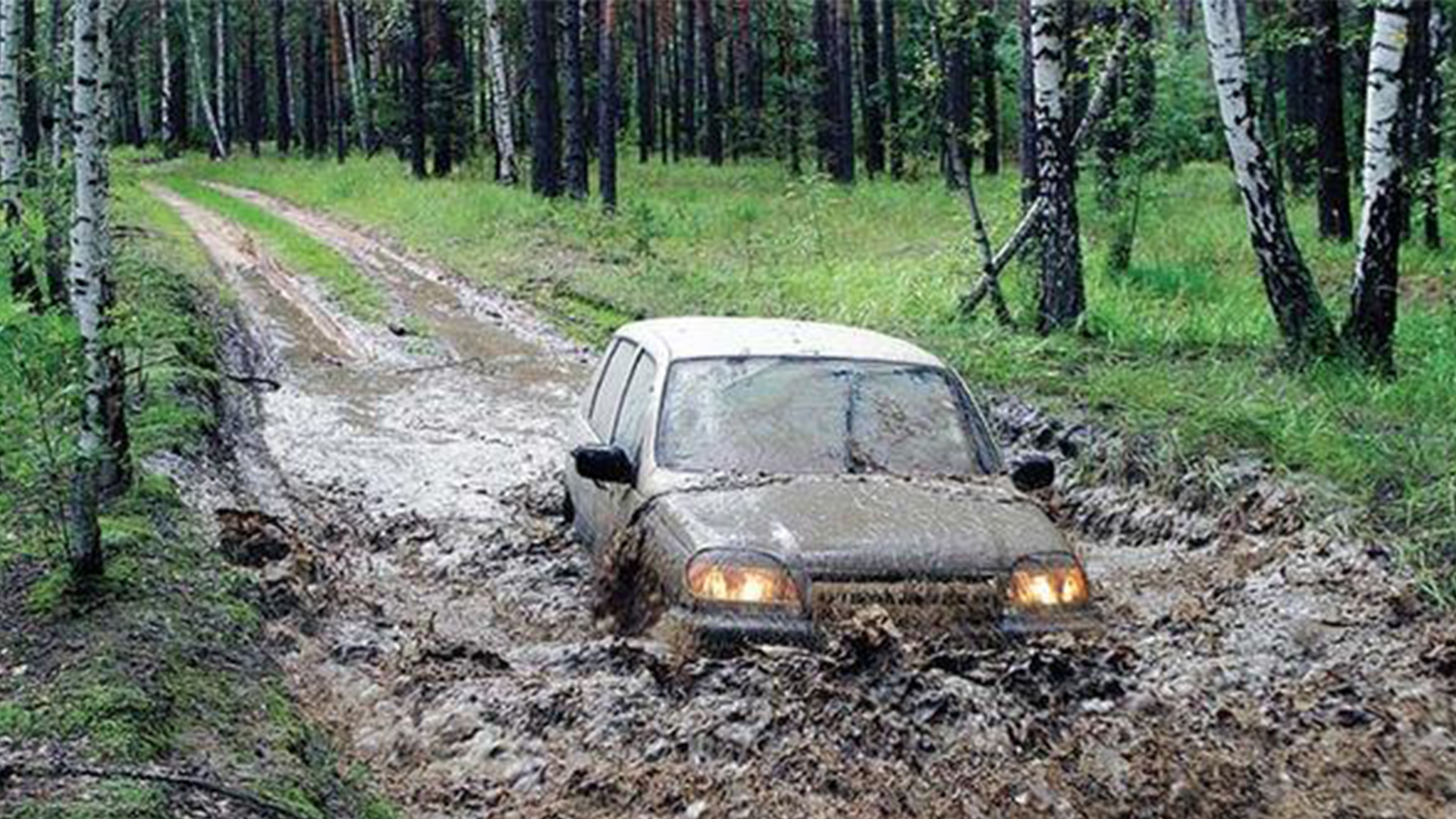 МАШИНА ДЛЯ РЫБАЛКИ. смотреть онлайн