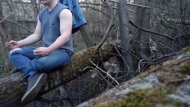 Медитирую полчаса, сидя на бревне. смотреть онлайн