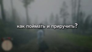 Как и Где Найти Самую Лучшую Лошадь В Red Dead Redemption 2