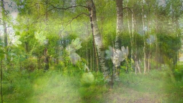 ЖИЗНЬ НА НОВОЙ ЗЕМЛЕ (ВЛИЯНИЕ БОЛЕЗНИ НА ВНУТРЕННЕЕ СОСТОЯНИЕ ЧЕЛОВЕКА) смотреть онлайн