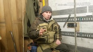 Сухой брус и брус естественной влажности Что лучше
