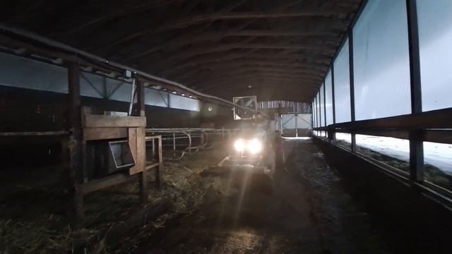 Уборка навоза в коровнике смотреть онлайн