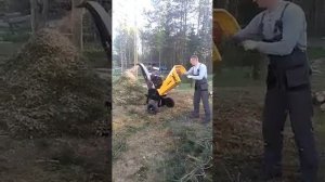 измельчитель веток Champion CH1211E