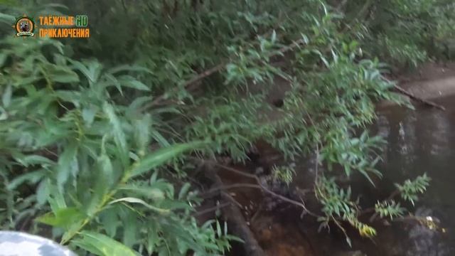 24 щуки за 8 часов рыбалки!/Оборвали все поводки!/Атаки зубастой хищницы на камеру смотреть онлайн