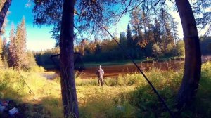 Как поймать хариуса? Рыбалка на таёжной реке. Хариус на микроджиг и вертушки. Хариус на силикон.