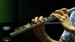 Yamaha 281 Used Flute - Skips and  Jumps - Sound Demo