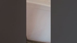 Новая игрушечная стиральная машина мили Тестируем