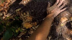 Что будет если сесть 5 минут на муравейник