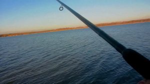 Рыбалка на Шоше. Сазан. Безбородово. Ноябрь. 2021