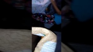 24 часа под одеялом