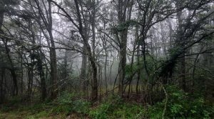 БОЛЬШАЯ СЕВАСТОПОЛЬСКАЯ ТРОПА. ОДИНОЧНЫЙ ПОХОД. КРЫМ 2021. ШЕСТАЯ СЕРИЯ. ЛАСПИ. БАЛАКЛАВА.