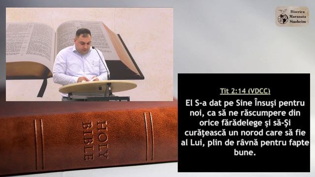 Razvan Codarcea - Ravna cu sau fara intelepciune
