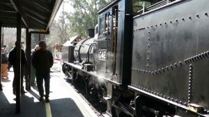 Австралия: ланч на паровом поезде PUFFING BILLY на горе Данденонг