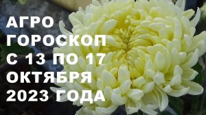 Агрогороскоп с 13 по 17 октября 2023 года.Agrohoroscope from October 13 to October 17, 2023