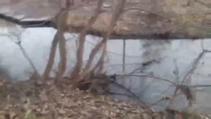 охота с пневматикой хатсан 125 !duck hunting with air rifles hatsan (Evil Hunter)