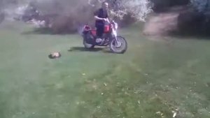 приколы на яве