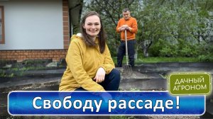 ВЫСАДИ РАССАДУ ПРАВИЛЬНО!