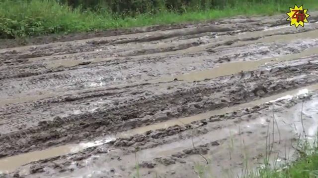 Не Пропащая Экспедиция\Заболотные Потёмки live/ смотреть онлайн