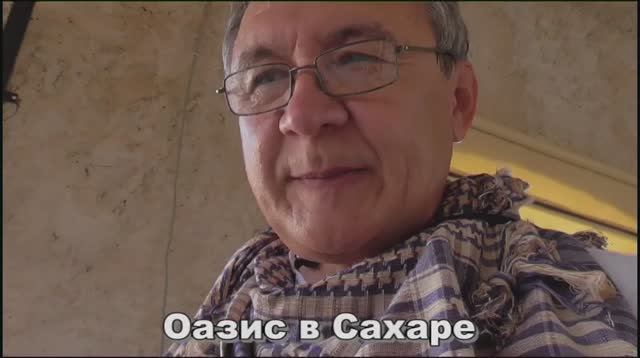 Оазис в Сахаре