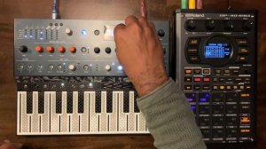 Arturia Microfreak keyboard performance with Roland SP404 Mk2
