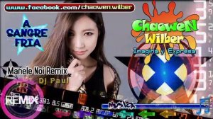Musica Manele Noi Remix - Dj Paul - Manele Noi Florin Remix- (10-01-2015)