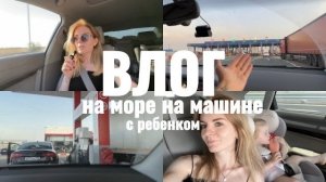 НА МОРЕ НА МАШИНЕ с малышом 1.5 года 🚙 Платная М-4 Дон 🏡 Цена, бензин, остановки 💸 ПРОБИЛИ КОЛЕСО 😳