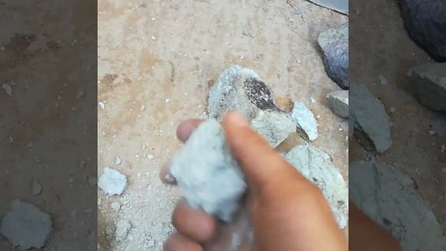 VID 46241129 034504 921 смотреть онлайн