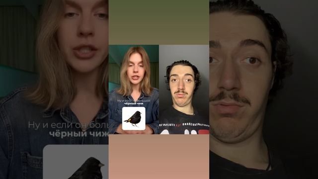 SHORTS Английский язык