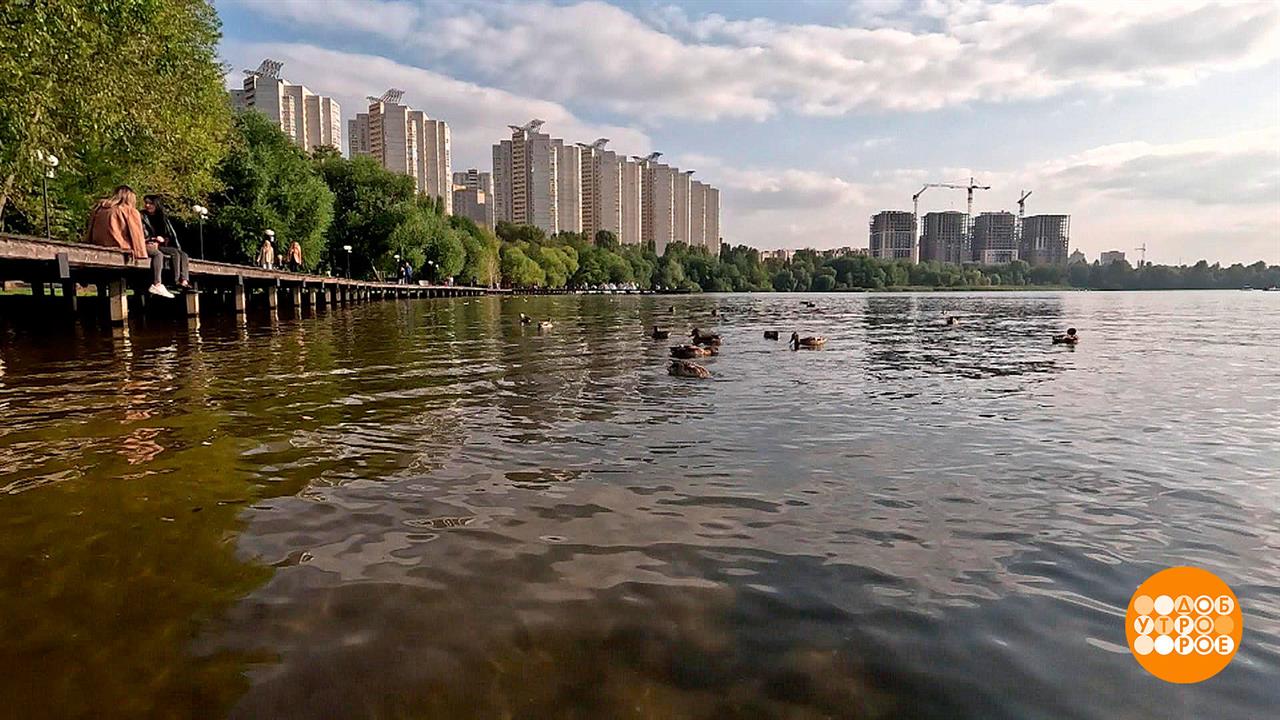 Города-именинники: от Воронежа до Гатчины, от Ставрополя до Элисты. Доброе утро. Суббота. Фрагмен...