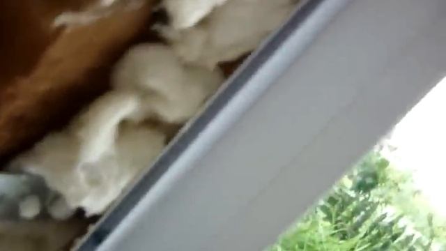Установка евроокон своими руками