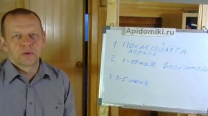 Когда лучше купить пчёл - после облёта, в мае, в июне и почему.