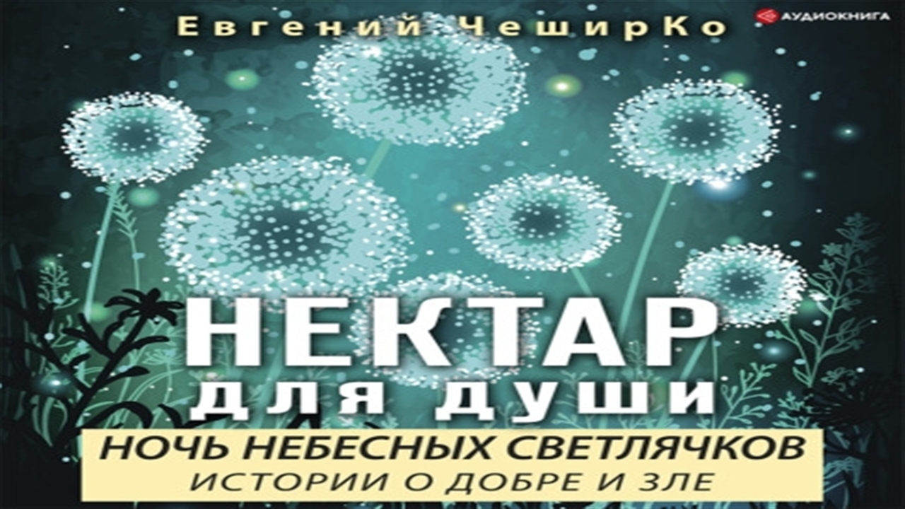 Источник зла аудиокнига слушать. Ночь небесных светлячков. Истории о добре и зле ЧЕШИРКО Евгений книга. Нектар для души ночь небесных светлячков. ЧЕШИРКО ночь небесных светлячков истории о добре и зле. Нектар для души книга купить ночь небесных светлячков.