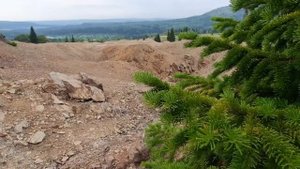 Природа Алтая. Лазурка. Змеиногорский район.