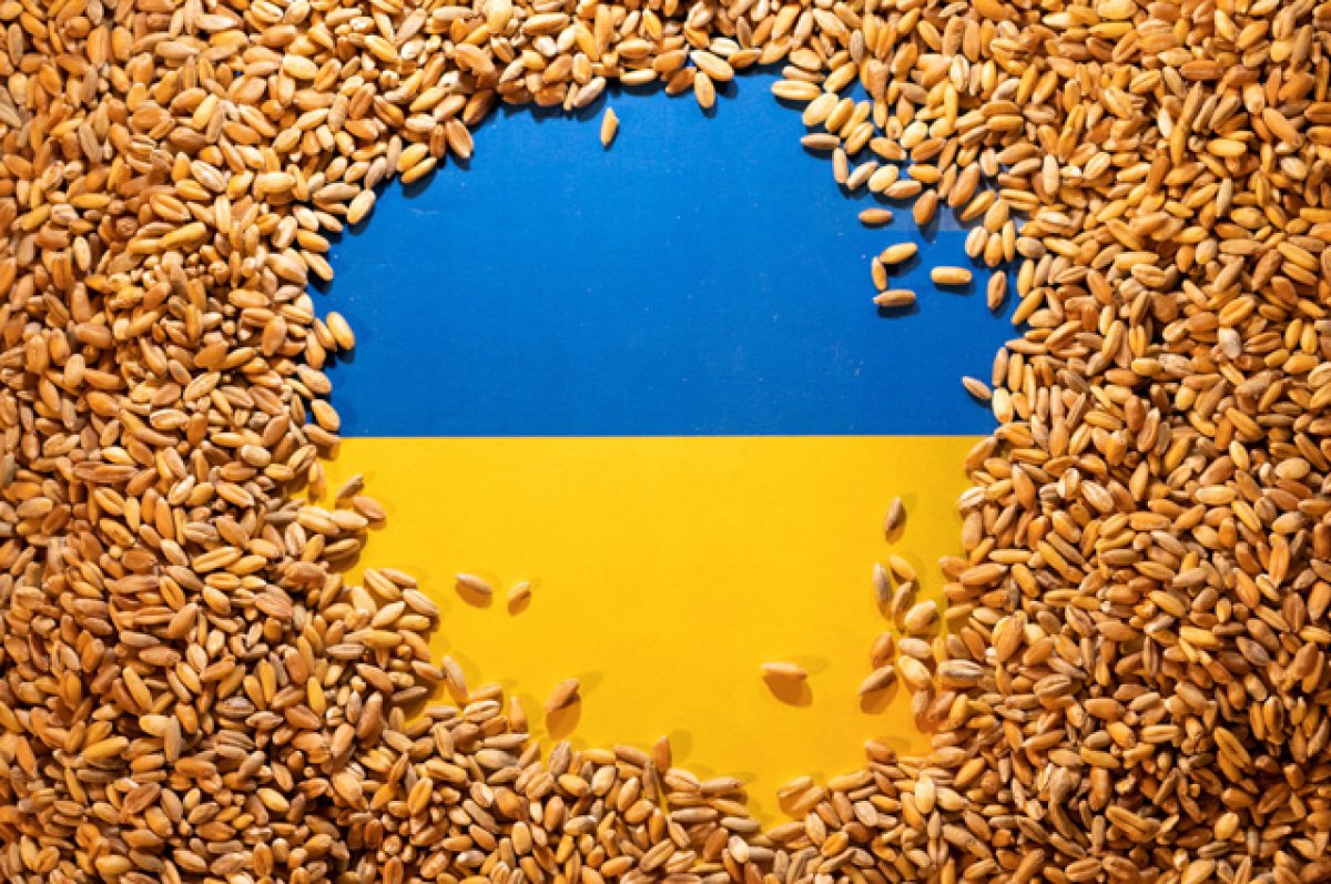 Переговоры о поставках украинского зерна через Польшу окончательно провалились
