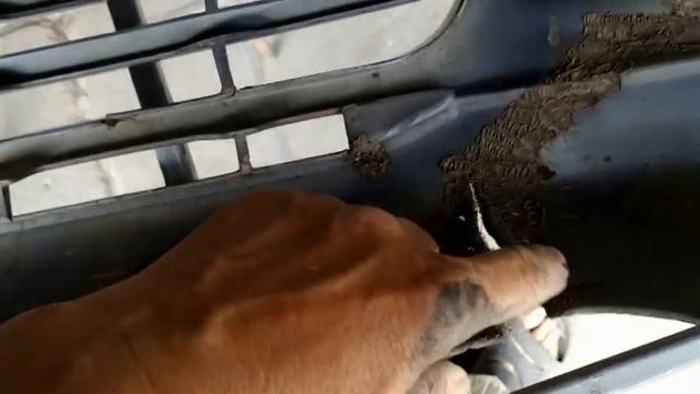 Пластик ABS.Ремонт креплений колпака запаски на Toyota RAV4. смотреть онлайн