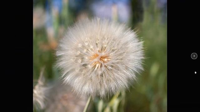 Что может Nikon D40 со стеклом NIKKOR 35/1,8. Матрица 6 мегапикселей!!!))) смотреть онлайн