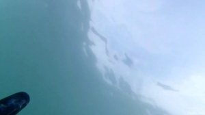 Подводная охота Сочи. Лобан 2021 (2 часть)