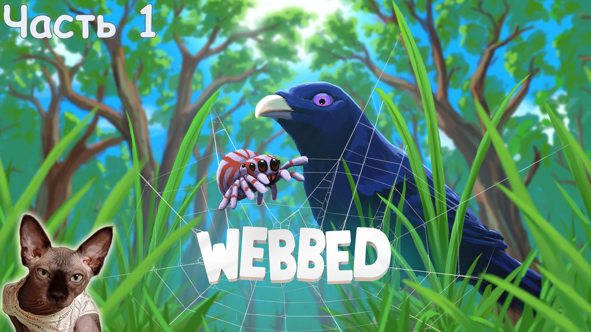 Игра webbed карта