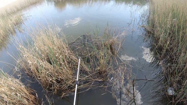 Сумасшедший клев карася на поплавок в озере Уелги смотреть онлайн