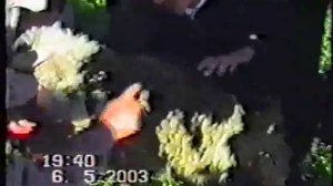 ЗНАМЕНИЕ  АЛЛАХА  2003год