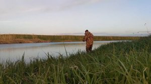 МОРМЫШИНГ. АКТИВНЫЙ КЛЕВ НА ВЕЧЕРНЕЙ ЗОРЬКЕ