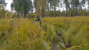 Болотоход трицикл 19-й год обкатка.