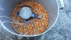 Самая мощная отрава для крыс!!!.