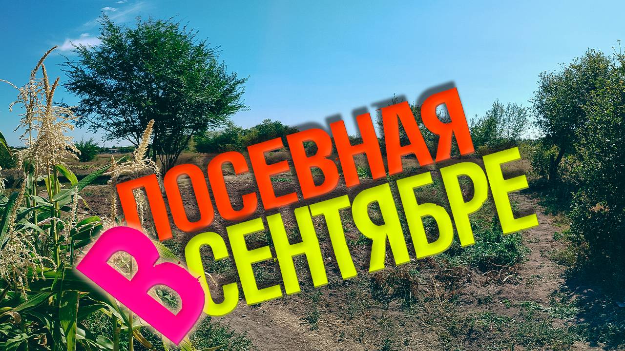 Посевная в сентябре