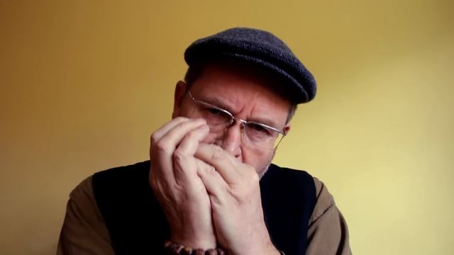 Easttop T008K 10 hole professional blues harmonica смотреть онлайн