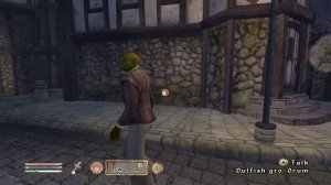 oblivion npc says perfectly sane thing to random stranger