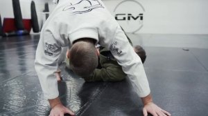 Эффективность Бразильского джиу джитсу